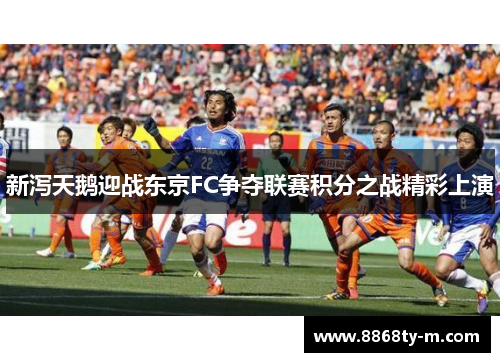 新泻天鹅迎战东京FC争夺联赛积分之战精彩上演
