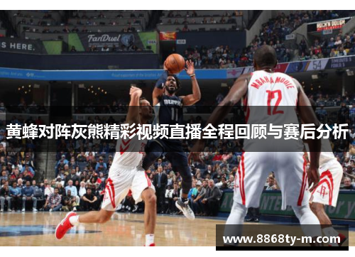 黄蜂对阵灰熊精彩视频直播全程回顾与赛后分析